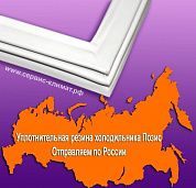 Уплотнительная резина для холодильника Pozis ХФ-250 (дверь-стекло) купить